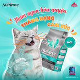 Hạt Nutrience Infusion Adult Indoor Cho Mèo Trưởng Thành - Paddy Pet Shop